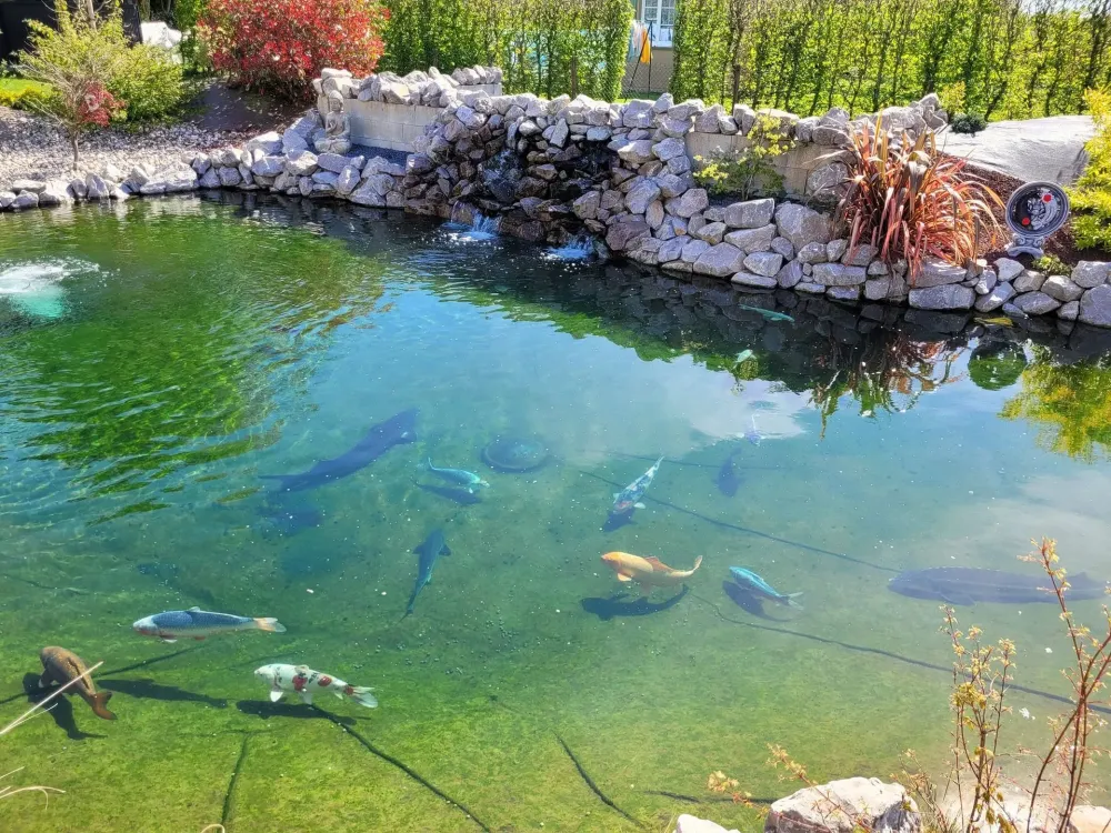 Création bassinwebp